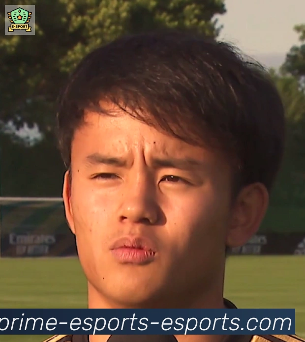 维尼修斯